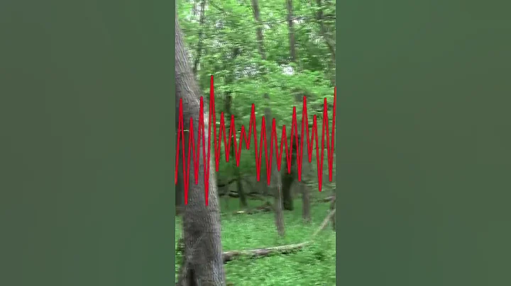 BIGFOOTS GROWL SHOCKS HUNTER | The Proof Is Out Th...