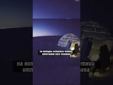 Почему в снежном иглу тепло? #факты #shorts #иглу