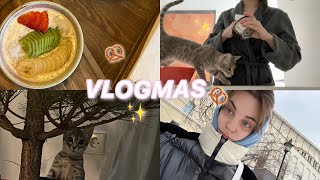 ВЛОГМАС✨У НАС ПОЯВИЛСЯ КОТЕНОК? Q&amp;A, завтрак и Новый год