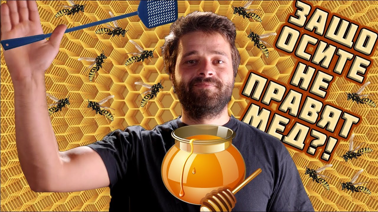 Honey watch