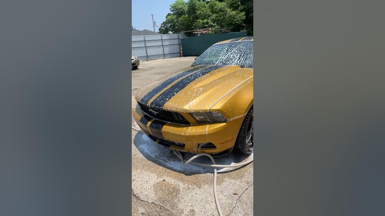 Clean mustang !! Car wash 🧼 YouTube