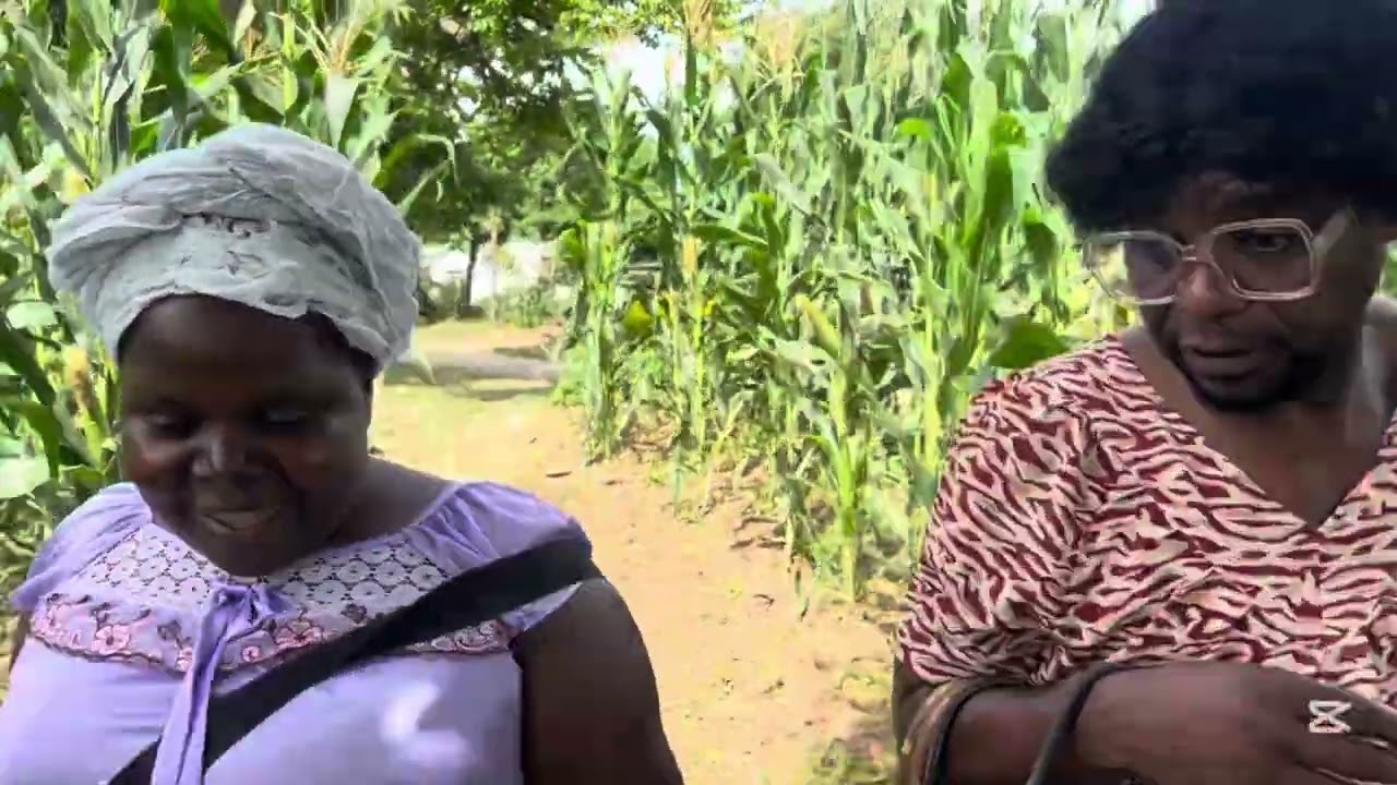 Wafunge nyama idye yehono