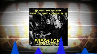 Shouse x David Guetta vs Steff da Campo x David Puentez - Fresh Love (Andrew Ushakov Mashup)