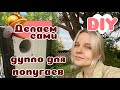 Делаю домики для размножения ЖАКО и АМАЗОНОВ. ВИДЕО DIY.