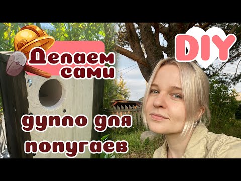 Гнездо для больших ПОПУГ своими руками. ВИДЕО DIY.