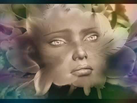 somewhere in my past divo bayer