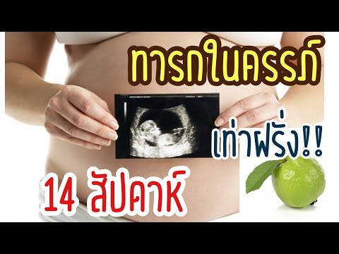 วีดีโอ: ตั้งครรภ์ได้ 14 สัปดาห์