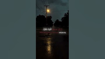 سورة المنافقون|| القارىء محمد الحيدان||  "لا تدع مالك وولدك يسرقان قلبك… فالموت لا ينتظر."