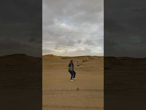 تلواح صقر شاهين جبلي Peregrinefalcon Birds نادي الصقار المصري