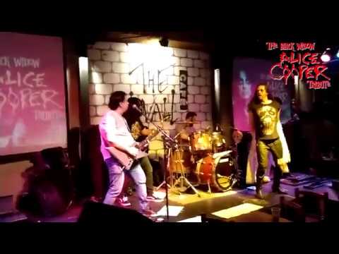 It's the little things | The Black Widow Alice Cooper Tribute