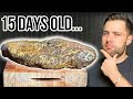 I marinated a brisket for 15 days and ate it