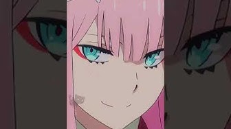 ダリフラ Youtube