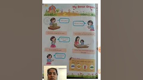 class 1 (Evs) chapter =3, My Sense Organs