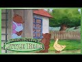 Little Bear | Little Bear the Magician / Doctor Little Bear / Bigger Little Bear - Ep. 14