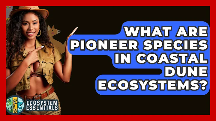 What Are Pioneer Species In Coastal Dune Ecosystems? - Ecosystem Essentials