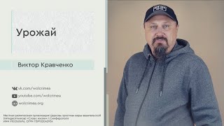 Урожай - Виктор Кравченко