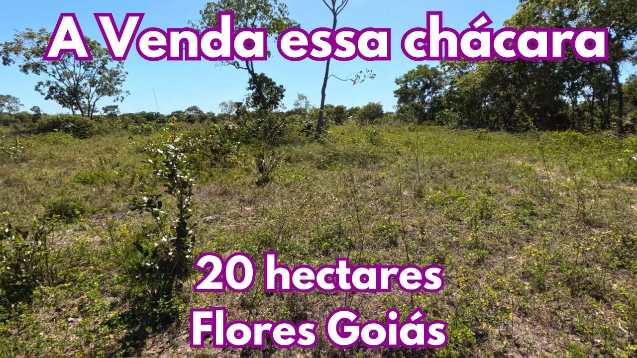 A Venda essa chácara de 20 hectares - Flores Goiás