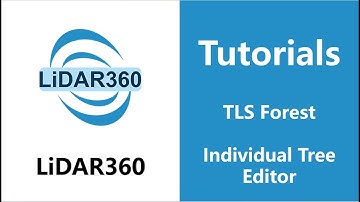 LiDAR360 (V7) - Individual Tree Editor | TLS Forest