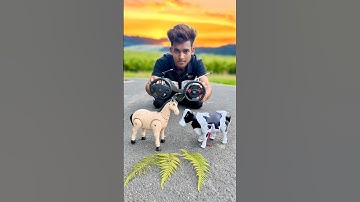 2 Ta Cow and Horse Remote Control Animals Unboxing 🥹