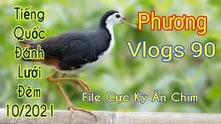 Tiếng Quốc Đánh Lưới Đêm 10/2021 ( File Cũ Nhưng Cực Kỳ Ăn Chim )_Phương vlogs 90