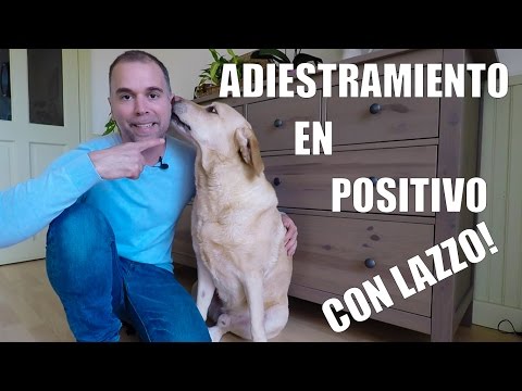 Aprende todo sobre