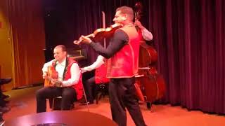 Filmhuis Zevenaar  2017