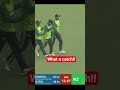 Outstanding catch by Towhid Hridoy 🥶💥|Rishad Hossain bowling performance #shorts #cricket #sports