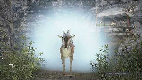 BLESS UNLEASHED [PC] - HOW TO USE A MOUNT