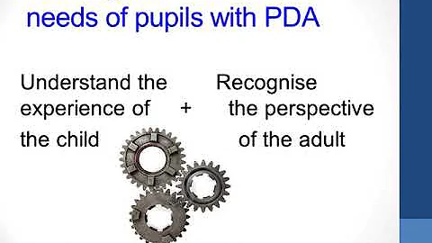Education and support needs of children with PDA w...