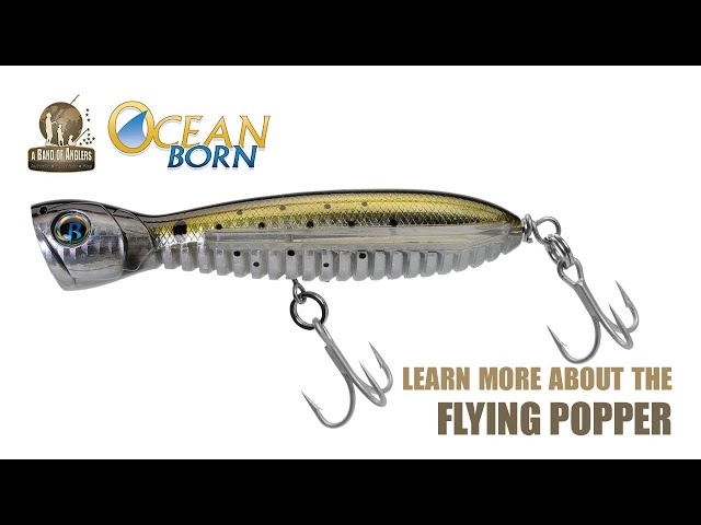 Learn More About The Ocean Born Flying Popper 