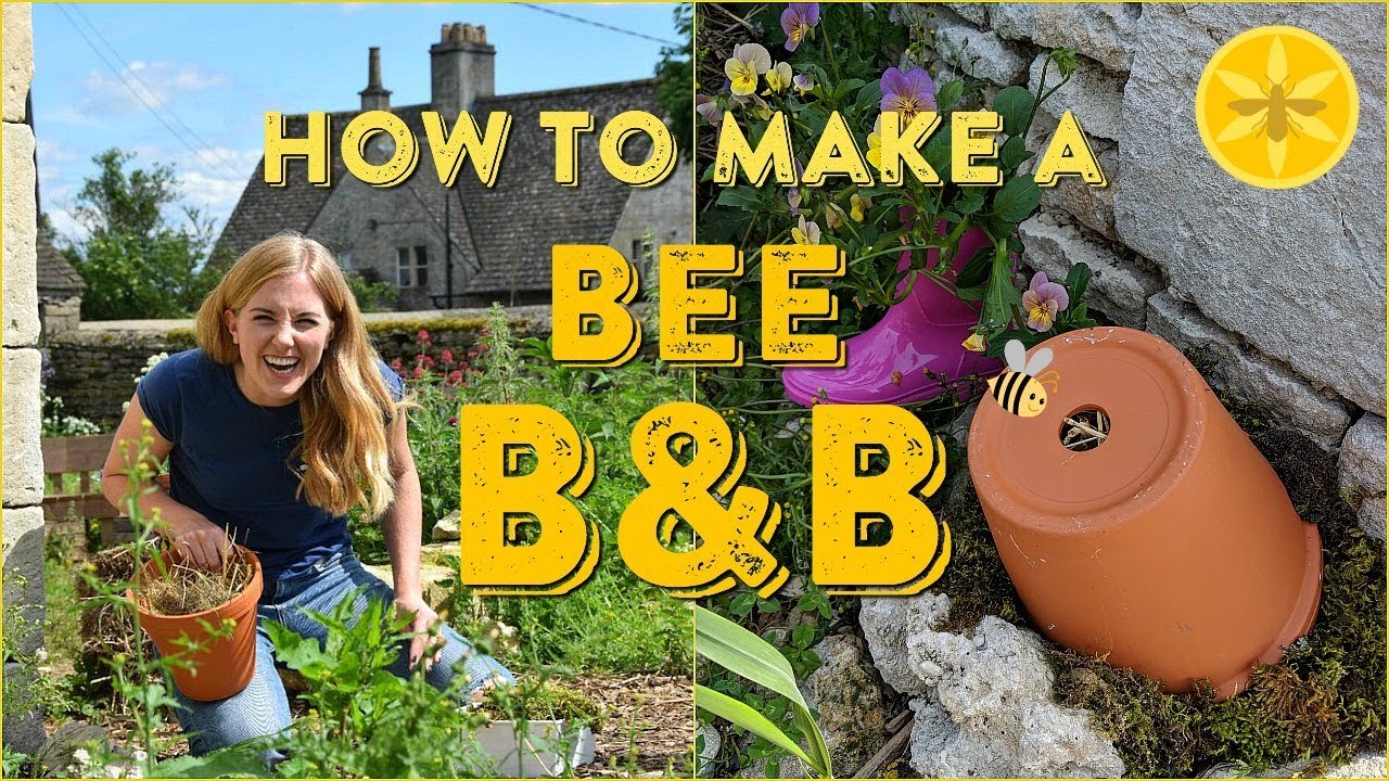 How to make a Bee B&B! | STUFF to make and do with Maddie Moate