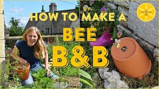 How to make a Bee B&B! | Maddie Moate