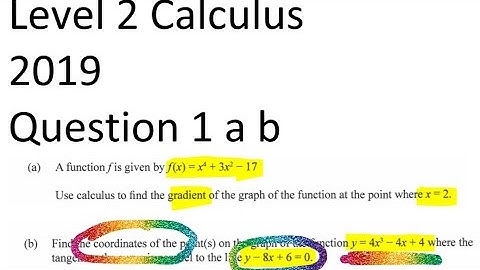 2019 Level 2 Maths - Calculus Q 1 a b