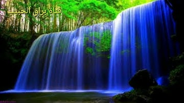 سورة الرحمن بصوت جميل جدا #للشيخ جبريل يذهب بك الي عالم الجنان