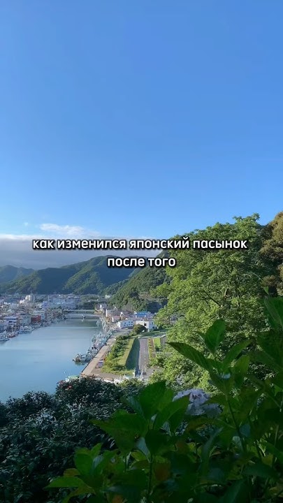Переходный возраст сложное время… #япония #японскийязык #жизньвяпонии # ...