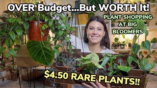 $4 RARE PLANTS! OVER Budget...But WORTH It! Big Bloomers Plant Shopping & Huge Houseplant Haul