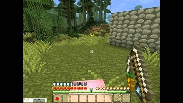 How to ride a pig on Minecraft using a carrot on a stick