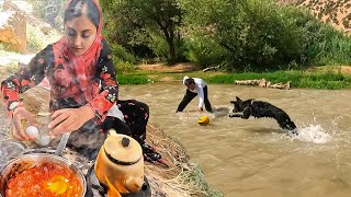 Iran nomadic life.a day outside with Caesar( Parisa's favorite dog) by the Riverside