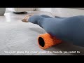 Oceanfoam Ripple Travel Foam Roller (11" x 3.35") Firm Mini Foam Roller for Physical Therapy