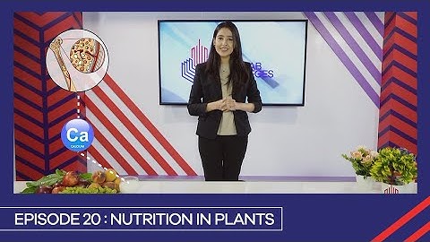 Learn with PGC | Smart Learning EP 20 | Nutrition in Plants