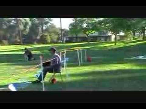 run amuk flyball team - YouTube