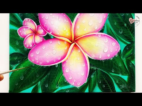 Video: Fejlfinding Plumeria Flower Drop - Hvorfor falder Plumeria Flowers af