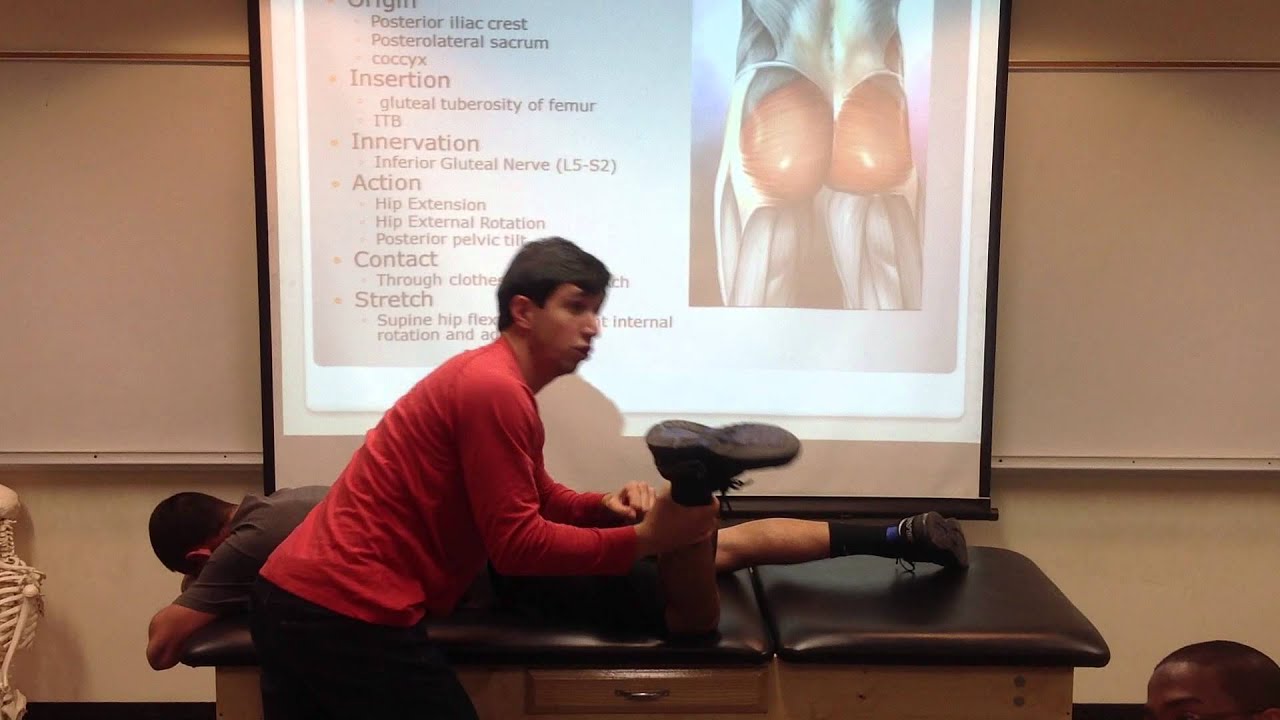 Gluteus Maximus Palpation, Manual Therapy and Stretch YouTube