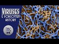 Virology and  Forgotten History