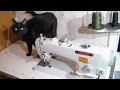 Промышленная швейная машина BRUCE 9700BP