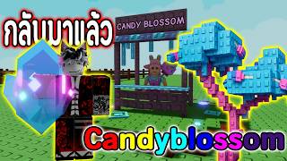 It's here!! Candy Blossom new update!! Free candy event | Roblox Grow a Garden screenshot 2