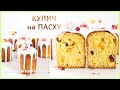 Кулич на Пасху а-ля Панеттон. Волокнистый и не сухой кулич! Кулич на дрожжах || Elena Stasevich HM