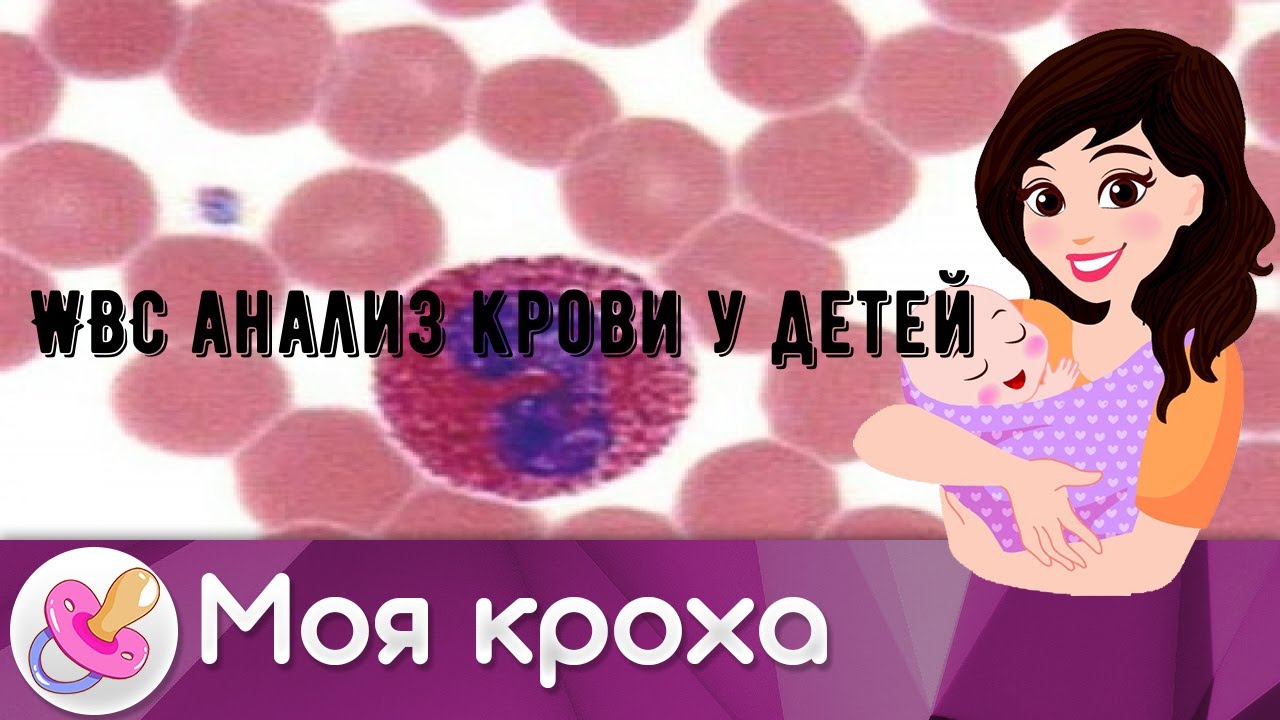 WBC анализ крови у детей
