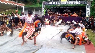 New Krido Buwono Anniversary 39 | NKB | Live Reog Jaran Kepang ft KMU Rukun Santoso Krido Laras PJKS