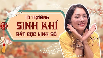 Từ Trường Sinh Khí - Bát Cực Linh Số | Chuyên gia Vi Quyên